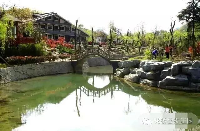 這個周末，隴南康縣花橋有大事要發(fā)生？