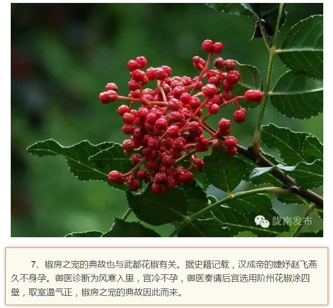 蘭渝鐵路最早由孫中山先生提出？在隴南，你不知道的事兒還有……