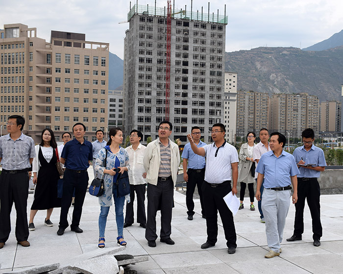 省、市聯(lián)合工作組蒞臨階州廣場檢查指導(dǎo)工作