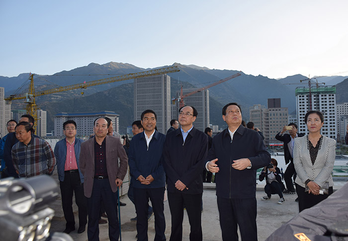 全國(guó)、省市政協(xié)委員體驗(yàn)蘭渝鐵路、視察階州廣場(chǎng)