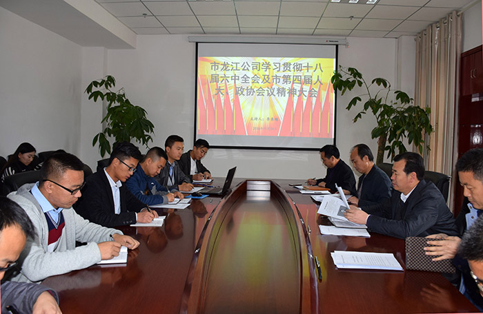 市龍江公司召開全體員工大會(huì)，專題傳達(dá)學(xué)習(xí)上級會(huì)議精神
