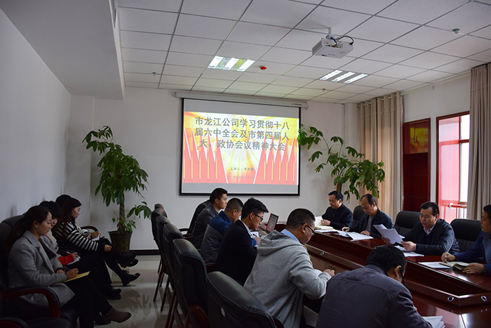 市龍江公司召開全體員工大會(huì)，專題傳達(dá)學(xué)習(xí)上級會(huì)議精神