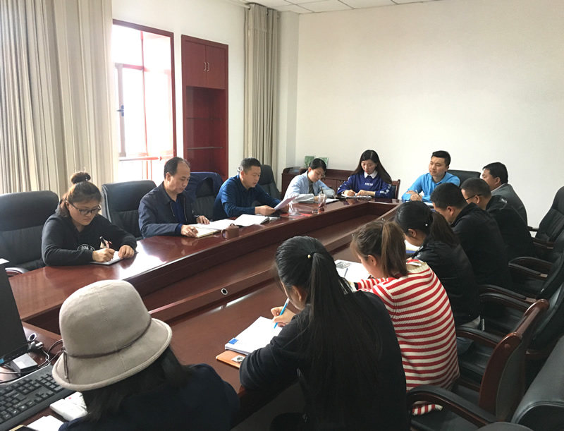 市龍江城鄉(xiāng)發(fā)展集團(tuán)專題學(xué)習(xí)近期中央、省、市紀(jì)律檢查委員會(huì)議精神